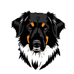 Nova Scotia Duck Tolling Retriever