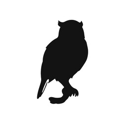 Northern Potoo Illustration