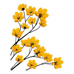 Dainty wildflowers arranged as border frame concept. A vibrant cluster of yellow flowers creating a cheerful ambiance.