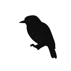 Black Nightjar Bird Illustration