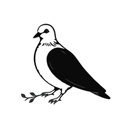 Mourning Dove Illustration