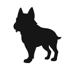 Moscow Watchdog Animal