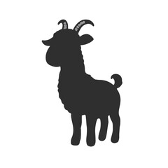 Black Mini Lop Rabbit