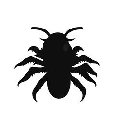 Black Millipede Illustration