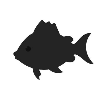 Black Milkfish Illustration