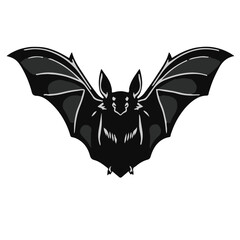 Mexican Free-Tailed Bat Illustration