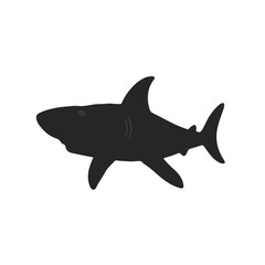 Megalodon Black Shark