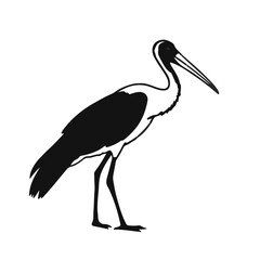 Obraz premium Marabou Stork Bird
