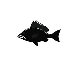 Mangrove Snapper Marine Life