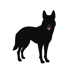 Black Mongrel Animal