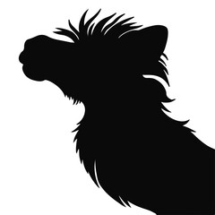 Black Mastiff Animal