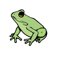 Black Marsh Frog Illustration