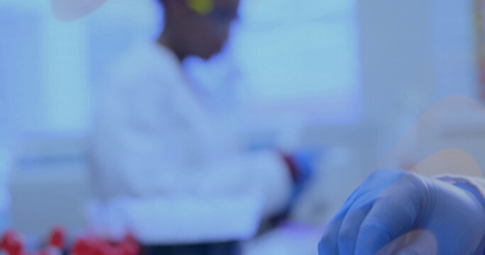 Holding pipette tip with blue-gloved hand at lab bench, rack of red-capped test tubes, copy space
