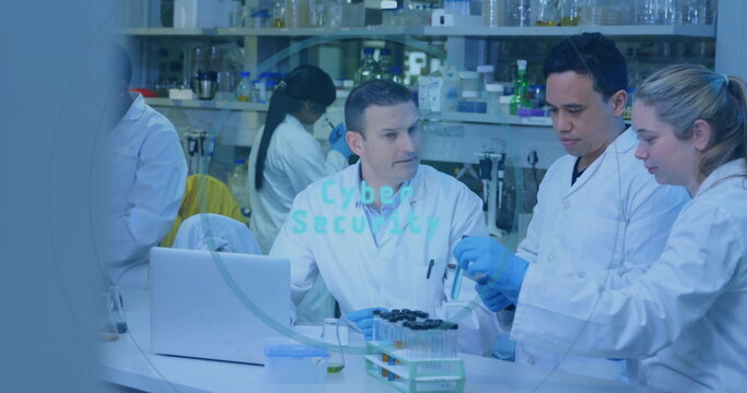 Collaborating lab scientists pipetting, inspecting test tubes at lab bench, with laptop, reagents