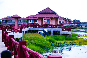 “Observation Tower – Thale Noi, Phatthalung, Thailand”