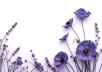 Vibrant purple blossoms, including delicate poppies and lavender sprigs, arranged elegantly on a pristine white background.