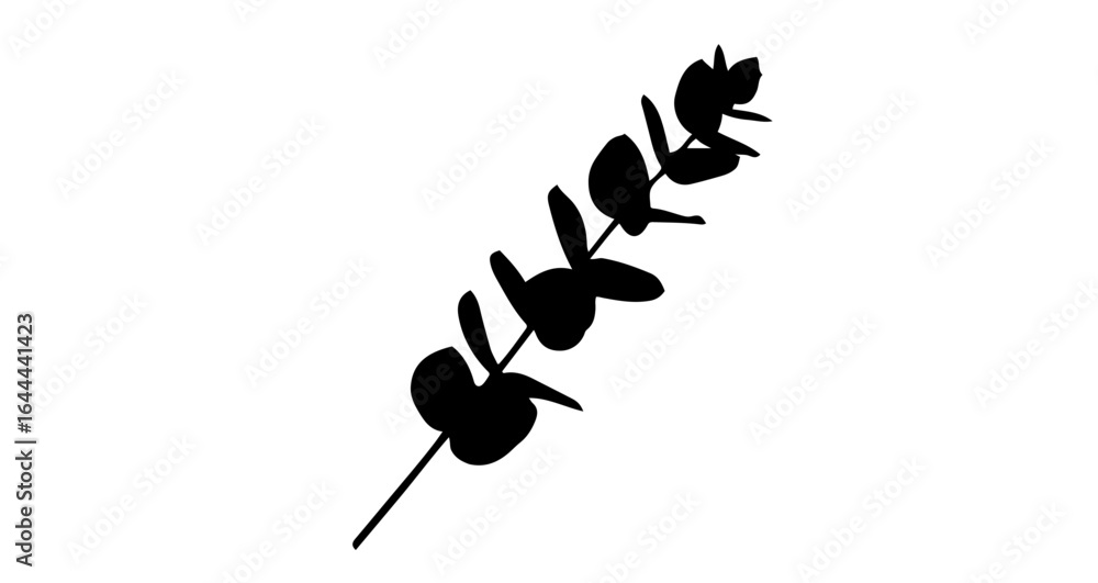 Poster object eucalyptus branch silhouette vector illustration for botanical design and decoration element 