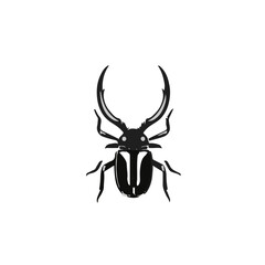 Asian Longhorn Beetle