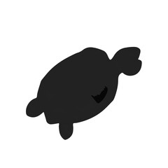 Archelon Turtle