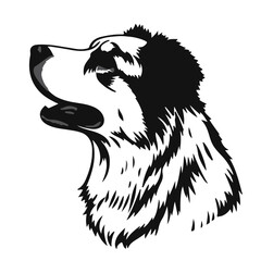 Anatolian Shepherd Dog