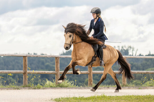 A young woman riding her icelandic horse in gallop at an equestrian competition in summer outdoors