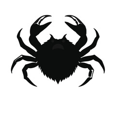 Black Yeti Crab Animal