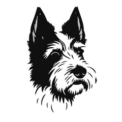 Black Wire Fox Terrier