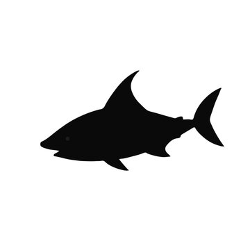 Black Wahoo Fish
