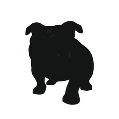 Black Valley Bulldog Animal