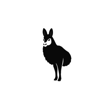Black and White Unau Animal
