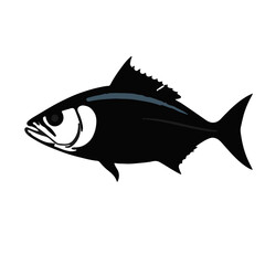 Black and White Tuna Animal