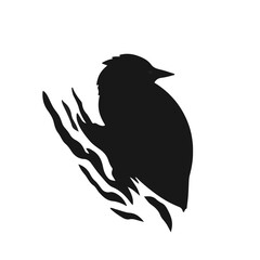 Treecreeper-Black-Animal