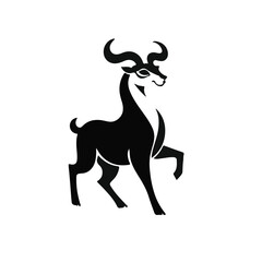 Obraz premium Tosa Dog Black & White