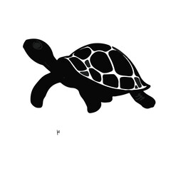 Black Tortoise Animal