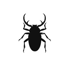 Black Tiger Beetle