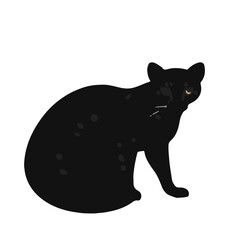 Thylacosmilus Saber-toothed Cat