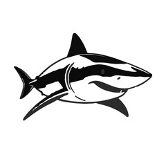 Black Thresher Shark
