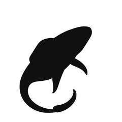 Thalassomedon Marine Creature - Black