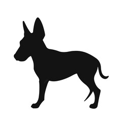 Obraz premium Thai Ridgeback Symbol