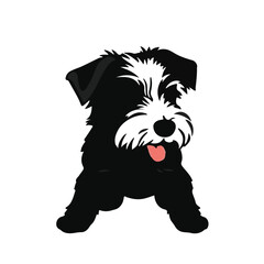 Tenterfield Terrier Illustration