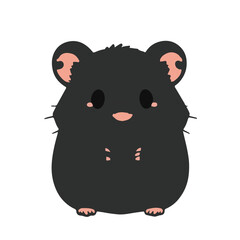 Teddy Bear & Hamster Animals