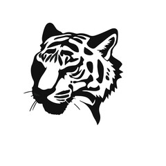 Tasmanian Tiger Animal