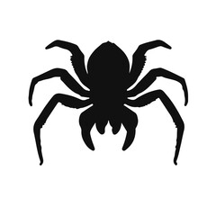 Tarantula Hawk - Black