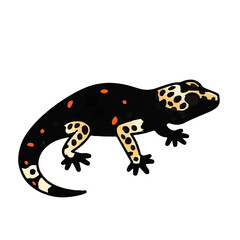 Tangerine Leopard Gecko