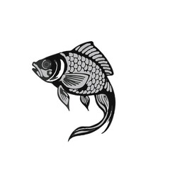 Fototapeta premium Black Taimen Fish