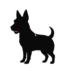 Black Taco Terrier Animal