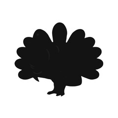 Black Turkey Animal