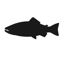 Black-and-White-Trout-Animal