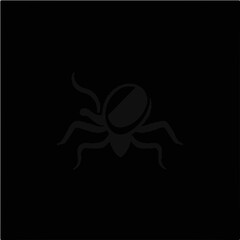 Black and White Tick Animal