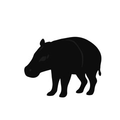 Black & White Tapir